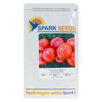 Насіння томату 1503 F1 Spark seeds 500 насінин